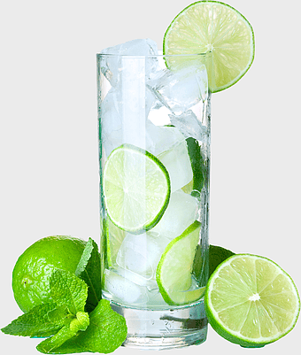 ice cubes in glass, lemon slice cocktail, mojito fizzy drink, citrus health beverage, refreshing lime drink, mint garnish juice, carbonated water refreshment