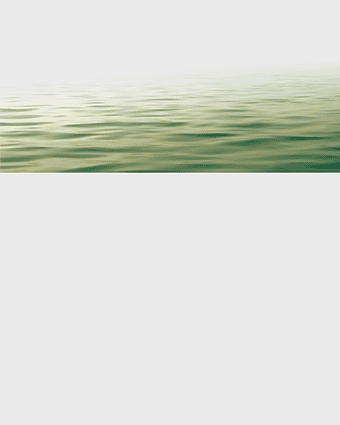calm pond water texture, pond green lotus, lake water surface, nature tranquil water, serene water backdrop, landscape water element, water surface ripples
