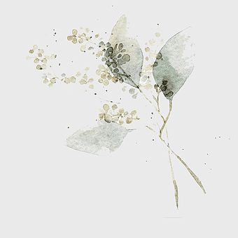 watercolor leaves painting, hand-painted floral illustration, white watercolor flowers, nature-inspired watercolor art, botanical watercolor design, delicate leaf art, artistic plant depiction