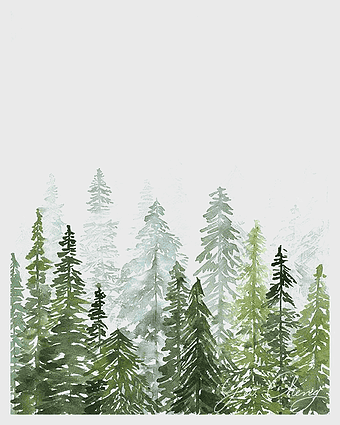 watercolor pine trees, hand-painted forest landscape, watercolor woods, evergreen tree painting, botanical illustration, nature art print, serene woodland scene