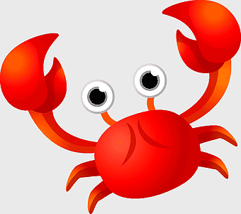 red crab illustration, Flower crab, christmas Island Red Crab, artwork, marine life, sea creature, cartoon crab