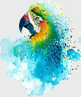 watercolor parakeet painting, colorful bird illustration, watercolor animal art, parrot feather details, vibrant avian artwork, artistic bird portrait, exotic pet depiction