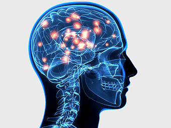 human brain anatomy, nervous system function, neuron network, central brain structure, cognitive process image, cranial nerve visualization, brain activity illustration