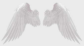 angel wings, feathered silhouette, supernatural creature wings, fantasy art wings, celestial feathers, divine plumage, ethereal flight