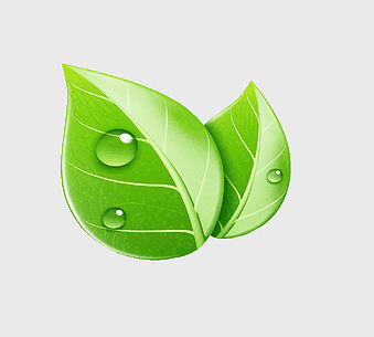 green leaf illustration, leaf ecology design, environmentally friendly logo, leaf with water drops, nature-inspired graphics, eco-friendly visuals, sustainable design elements
