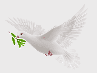 doves as symbols, white pigeon, peace symbol, flying pigeons, olive branch, avian iconography, digital illustration, peaceful imagery