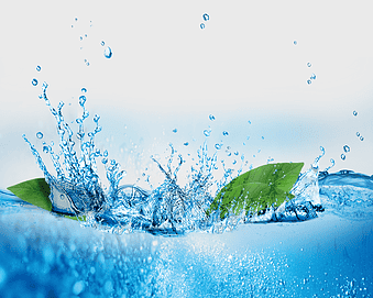 water splash, leaf in water, drinking water, water resources, aquatic environment, hydration benefits, natural hydration, water conservation