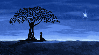 person meditating under tree, Zen landscape, Buddha silhouette, high-definition meditation video, tranquil night scene, spiritual tree silhouette, serene Buddhist