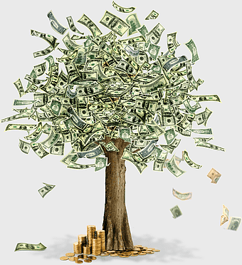 money trees, saving money, finance growth, cash investment, wealth accumulation, financial prosperity, money plant concept