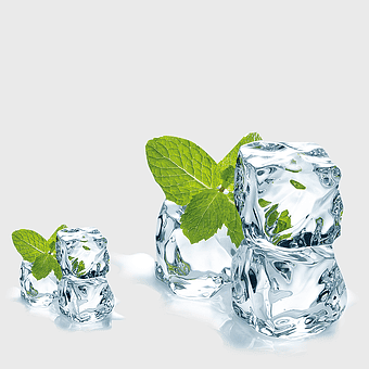 ice cubes with mint leaves, mint ice cubes illustration, summer mint ice, icy mint cubes, refreshing mint cubes, cool mint illustration, frozen mint leaves