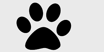 paw print decal, black paw print, monochrome paw design, bumper sticker paw, animal footprint graphic, pet lover decals, canine paw art