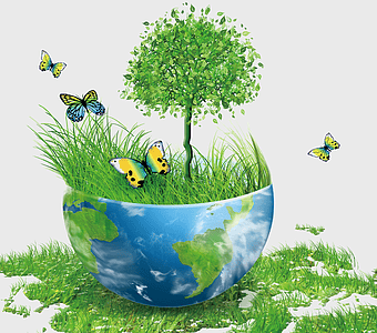 blue and green bowl with tree, green grass and butterflies, environmentally friendly earth, low carbon economy, sustainable living, eco-friendly lifestyle, nature conservation efforts