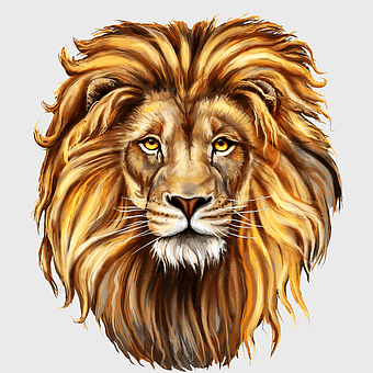 Red Lion illustration, lion head painting, wildlife art, big cats, majestic lion portrait, feline artwork, animal kingdom depiction, hand-drawn lion face