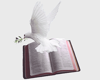 white dove on Bible, doves as symbols of God, religious text illustration, chapters and verses of Psalms, spiritual symbolism, holy scripture, faith and peace iconography