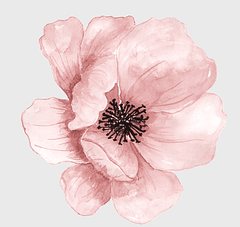 pink watercolor flower, hand-painted pink flower, watercolor petal painting, pink flower blossom, delicate floral art, soft pastel bloom, artistic floral design, romantic flower illustration