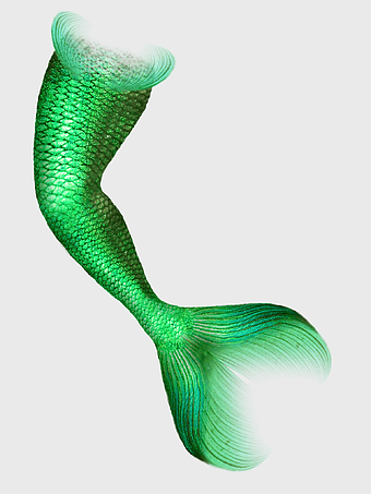 green mermaid tail illustration, mermaid tail cartoon, green tail, fantasy mermaid, aquatic creature, mythical sea life, mermaid art design