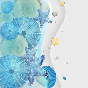 blue seashells illustration, cartoon sea elements, starfish and shells design, sea anchor and waves, underwater ocean life, marine creature art, aquatic nature graphics