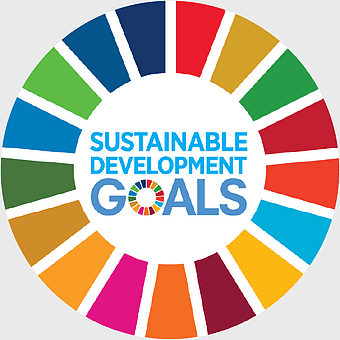 Sustainable Development Goals logo, United Nations SDGs, poverty reduction strategies, climate action initiatives, global sustainable development, international cooperation efforts, environmental conservation goals