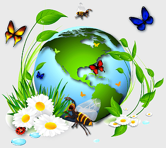 Biodiversity Earth Conservation, Ecosystem Diversity Ecology, Natural Resource Management, Pollinator Insects Conservation, Sustainable Environmental Design, Global Ecosystem Balance, Nature Conservation Initiatives