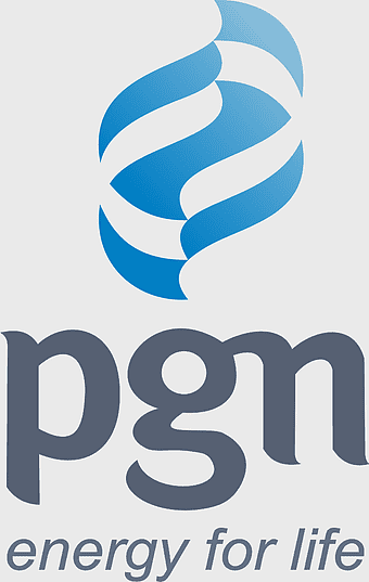 PGN logo, Pertamina natural gas company, PGN energy solutions, state-owned enterprise in Indonesia, industrial energy branding, eco-friendly fuel alternatives, strategic energy partnerships