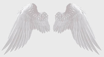 angel wings, feathered silhouette, fantasy art, supernatural creature, white angel wings, ethereal design, celestial