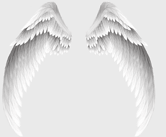 white wings, angel wings, monochrome feathered wings, supernatural creature wings, ethereal wings, celestial wings, fantasy wings