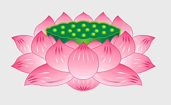 pink lotus flower illustration, Nelumbo nucifera, Buddhist lotus seat, Padma flower icon, lotus chakra symbol, sacred flower art, spiritual bloom design