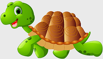turtle animation, cartoon turtle, green sea turtle, cute reptile, marine life illustration, aquatic creature art, shell creature design