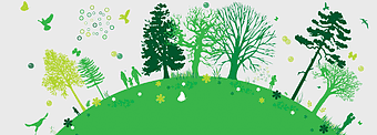sustainable environment, eco-friendly nature scenes, greenery with pine trees, reducing carbon footprint, organic ecosystem view, wilderness conservation efforts, environmental sustainability practices