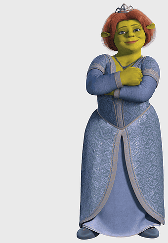Princess Fiona costume, Shrek The Musical character, Shrek film series princess, ogre princess drawing, fairy tale princess illustration, animated movie character, fantasy costume design