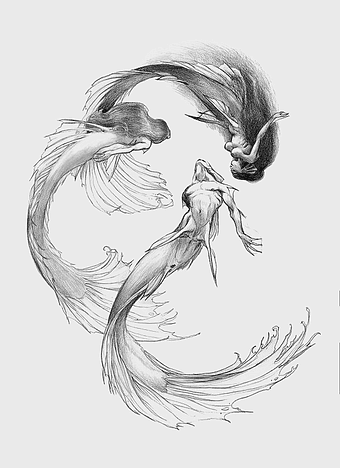 Mermaid sketch, monochrome mermaid drawing, mermaid tails illustration, black and white siren sketch, mythical creature artwork, fantasy figure drawing, handpainted mermaid concept