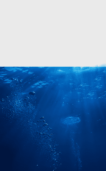 seawater illustration, deep sea marine life, ocean waves underwater, blue marine biology, aquatic environment, sunlit ocean depths, sea surface texture