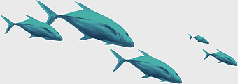 green fish icon, marine life illustration, aquarium fish graphic, freshwater fish image, aquatic creature design, oceanic fauna art, sea creature symbol