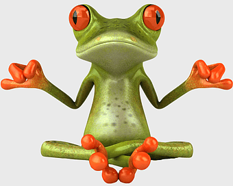 Zen frog meditation, tree frog yoga pose, amphibian mindfulness, ranidae Zen art, froggy tranquility, nature-inspired meditation, serene animal