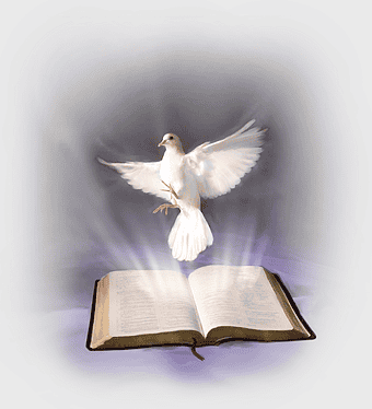 white pigeon over holy bible, Holy Spirit dove illustration, religious text with spiritual bird, chapters and verses of the Bible, divine scripture, faith and spirituality symbols, sacred book with celestial wings