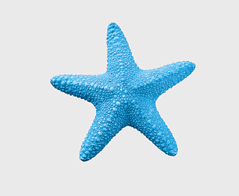 blue starfish, marine invertebrate, creative background, aquatic design, oceanic art, sea creature illustration, turquoise marine life