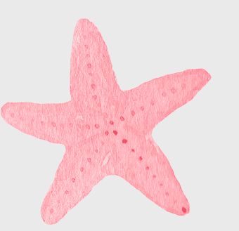 pink starfish, hand-painted starfish, beach elements, echinoderm, marine life illustration, underwater creatures, sea star art