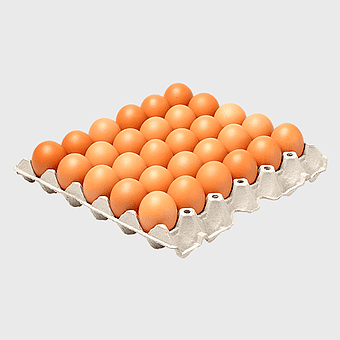 egg carton tray, chicken eggs, freerange eggs, egg white, egg storage solutions, poultry farming supplies, egg packaging options