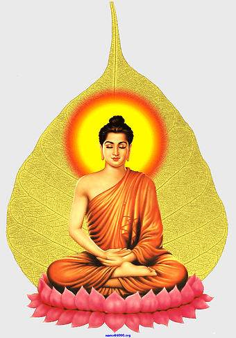 Gautama Buddha illustration, Buddha's Birthday celebration, sakyamuni meditation, Lumbini Buddha birthplace, spiritual enlightenment, sacred lotus flower, golden aura glow