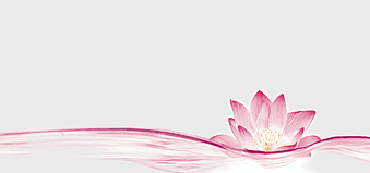 pink lotus flower, simple pink floral design, nelumbo nucifera closeup, decorative lotus pattern, elegant water lily, soft petal texture, floral line art