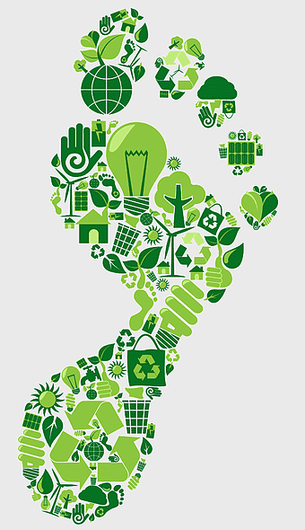 green foot illustration, carbon footprint sustainability, ecological footprint symbols, environmental conservation footprints, eco-friendly footprint design, sustainable living icons, green energy footprint art