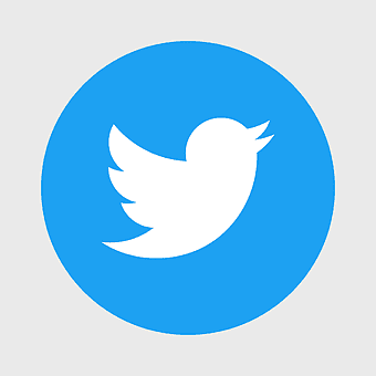 bird emblem, digital branding, online community, communication platform, social network symbol, internet iconography