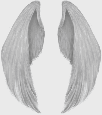white angel wings, monochrome angel wing drawing, supernatural creature wings, black and white angel wings, celestial feather design, divine wing illustration, ethereal wing art